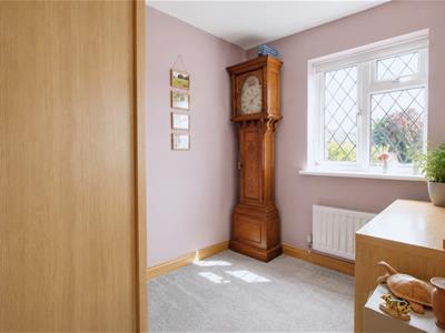 Picture 17